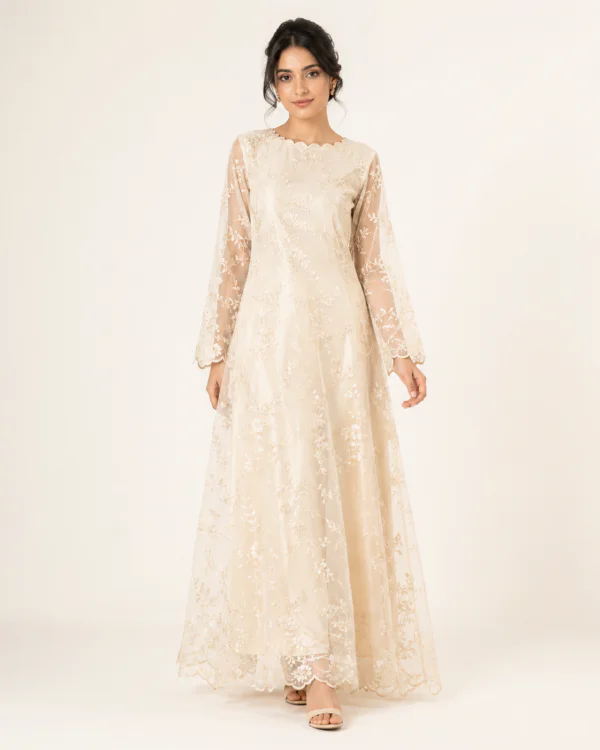 elrare ivory sheer embroidered maxi dress front view