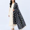 elrare navy chevron tassel dupatta front pose