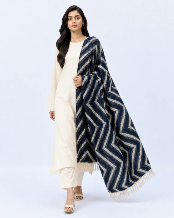 elrare navy chevron tassel dupatta front pose