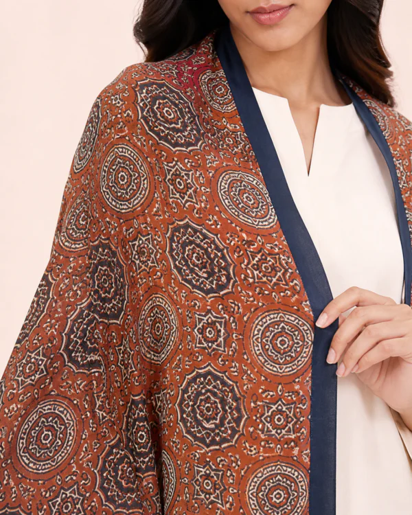 elrare terracotta ajrak medallion dupatta detail
