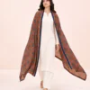 elrare terracotta ajrak medallion dupatta front pose