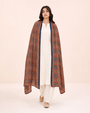 elrare terracotta ajrak medallion dupatta front view