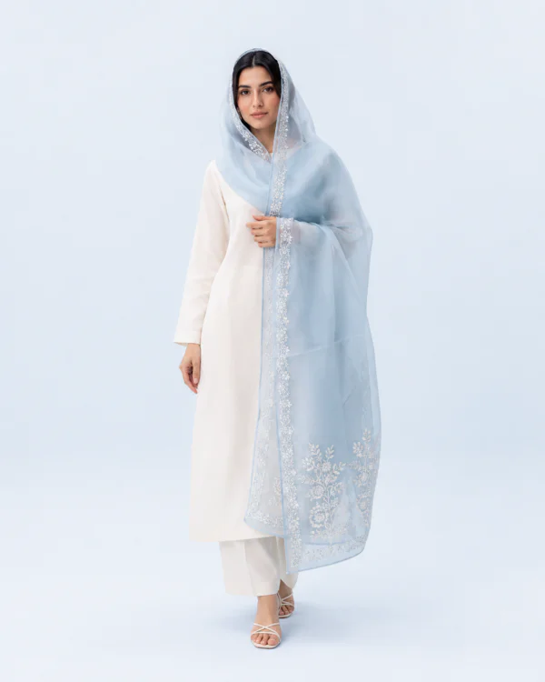 elrare powder blue floral organza dupatta front view